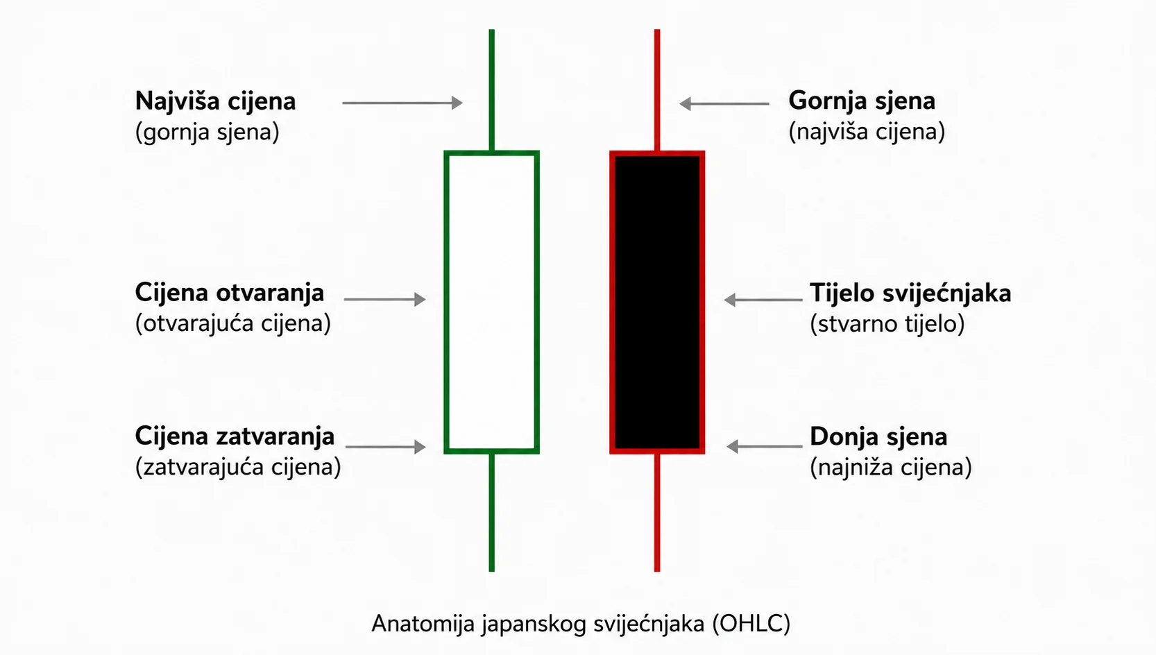 Anatomija japanskog svjećnjaka